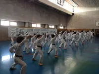 Kobukan, Ecole d'Arts Martiaux Frédéric Méjias