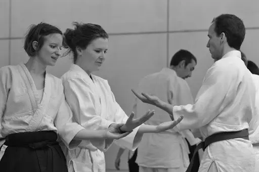 Association Française de Ki Aikido (afka)