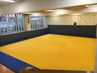 Group Fight Academy, Bajo Bjj