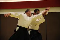 Aikido Copc