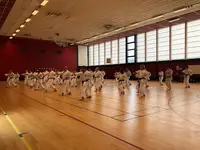 Fédération de Karaté Traditionnel Budo France