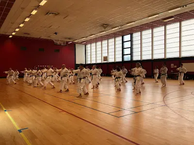 Fédération de Karaté Traditionnel Budo France