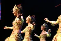 1001 Nuits Cours, Stages et Spectacles de Danse Orientale