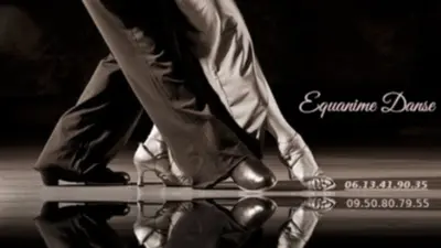 Cours Particulier de Danse de Salon Rock Salsa et Tango Argentin