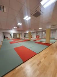 Bujinkan Dojo 9 - Ninjutsu