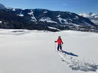 Summitouring - Moniteur de Ski