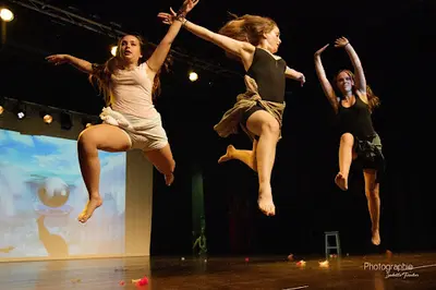 Danses Vibrations