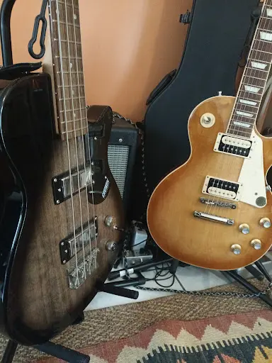 La Guitare Pour Tous Péaule
