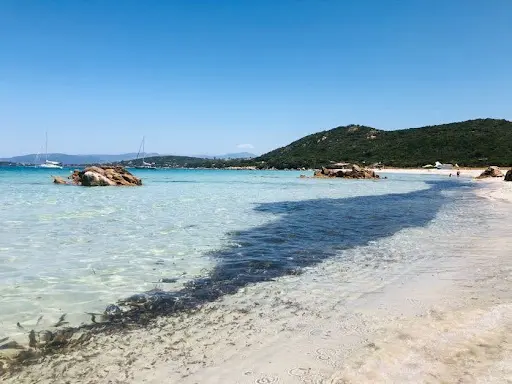 Mare E Surf