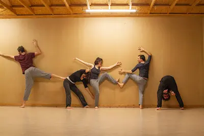 Perrine Fallek - Danses d'Improvisation