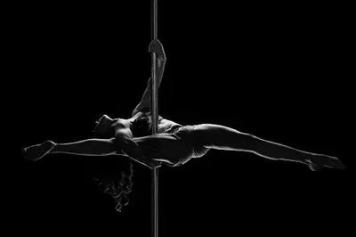 Pole Purrfect