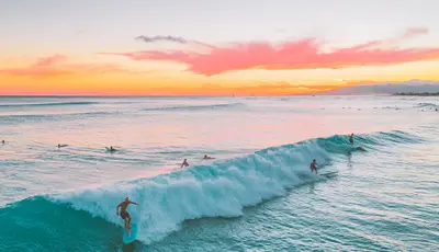 Black Lion Surf
