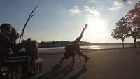 Capoeira Liberdade