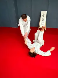 Académie Rémoise d'Aïkiryu