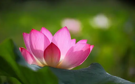 Shanti Yoga Studio