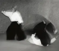 Aikido Rennes 35 - Iwato Biraki