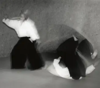 Aikido Rennes 35 - Iwato Biraki