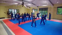 Vovinam Budo 04