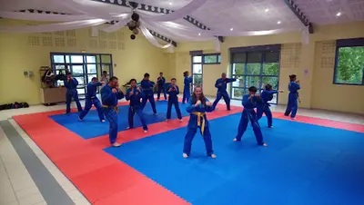 Vovinam Budo 04