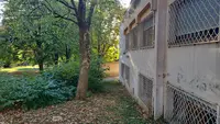 Ecole de Musique l'Alouette
