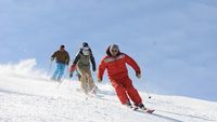 Ecole de Ski Français de Risoul - Esf Risoul - Risoul French Ski School - Forêt Blanche