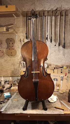 Julien Perey Luthier Archetier