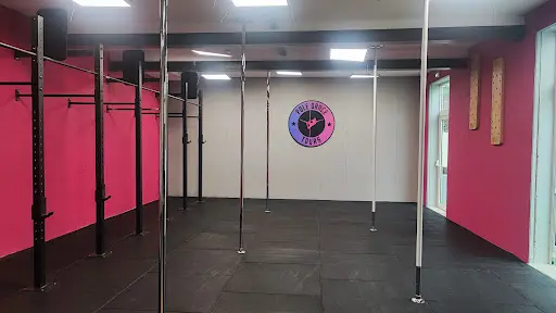 Pole Dance Tours