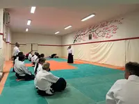 Aikido Sakura Romans
