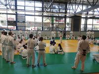 Dojo Romanais