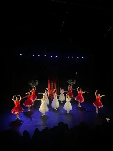 Try Danse
