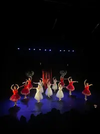 Try Danse