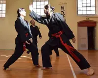 Viet Vo Dao - Art Martial
