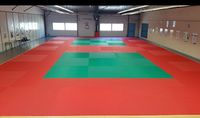 Sms Judo Romorantin