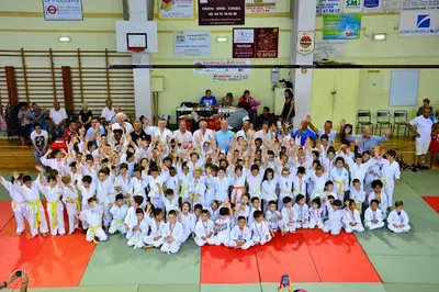 Club Mochizuki Ecole d'Arts Martiaux Bruzat Academy