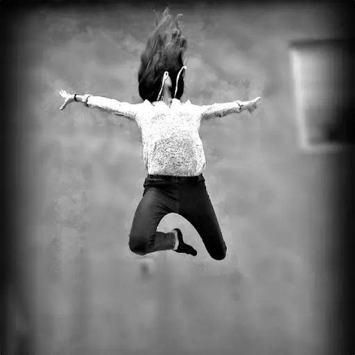 Le Chemin de la Danse