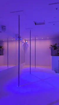 Studio Javanica - Pole Dance Rouen