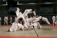 La Santone Judo