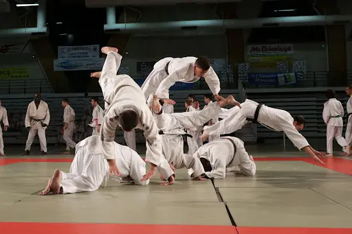 La Santone Judo