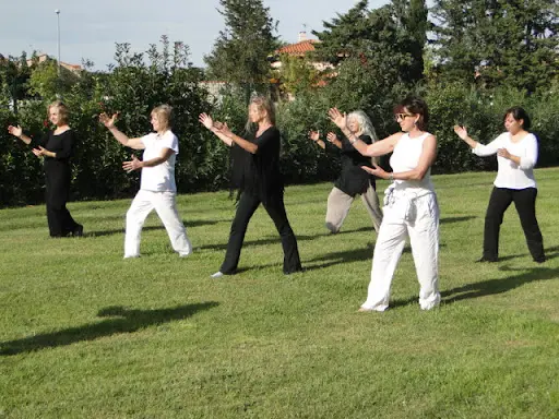 Le Domaine du Qi Gong