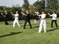 Le Domaine du Qi Gong