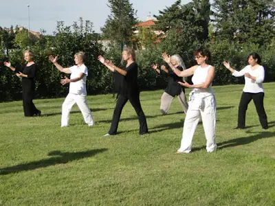 Le Domaine du Qi Gong