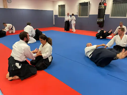 Aikido Club Sanaryen