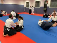 Aikido Club Sanaryen