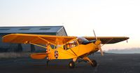 Fly Vintage Saumur