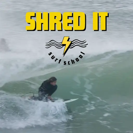 Surf Every Day