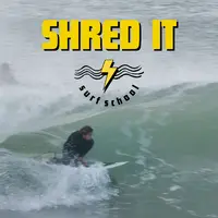 Surf Every Day