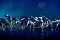 Moma Danse