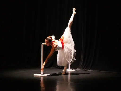 École de Danse le Cygne