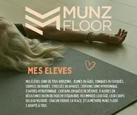 Munz Floor , Pilates Avec Sandrine Maziarz
