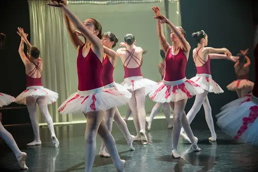 Jeunes Amis de la Danse